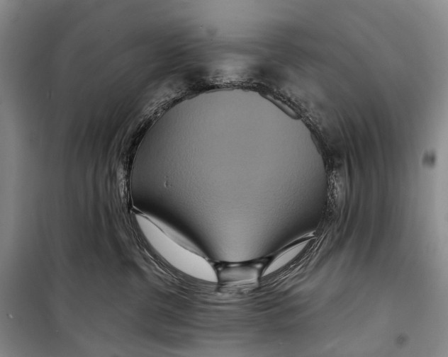 X0000098210380200805151259