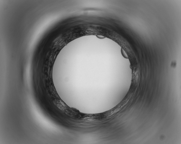 X0000098210381200805151259