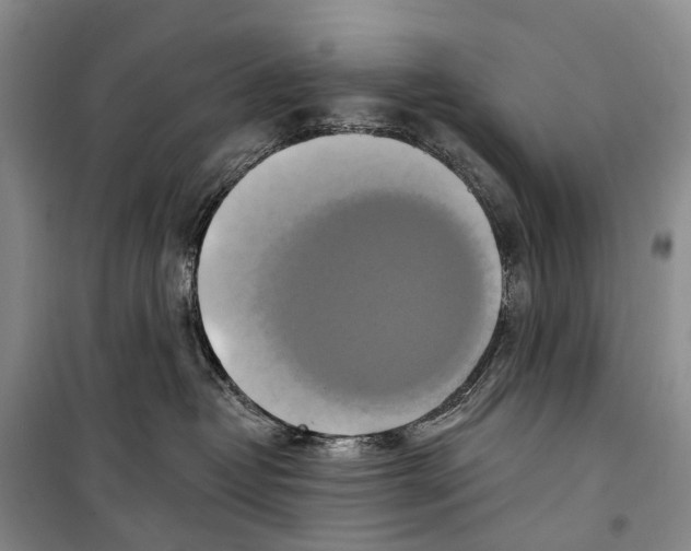 X0000098210382200805151259
