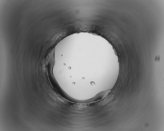 X0000098210384200805151259