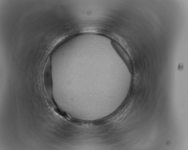 X0000098210385200805151258