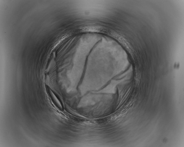 X0000098210386200805151258