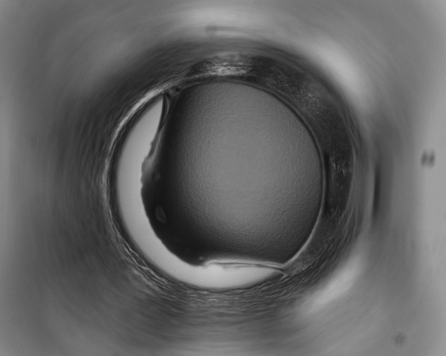 X0000098210387200805151258