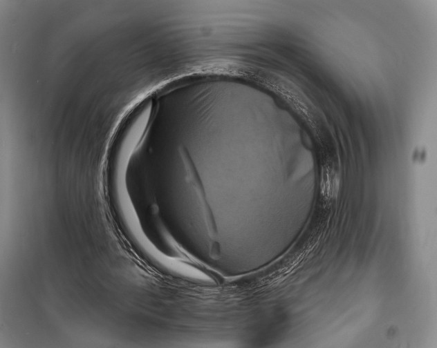 X0000098210388200805151258