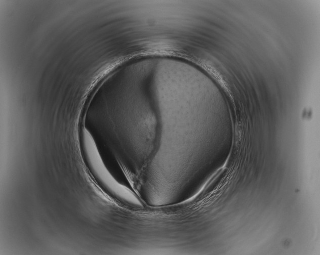 X0000098210389200805151258