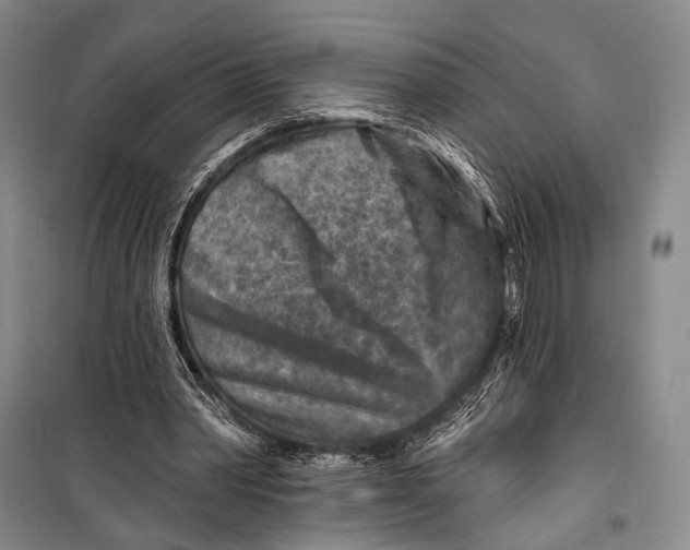 X0000098210390200805151258