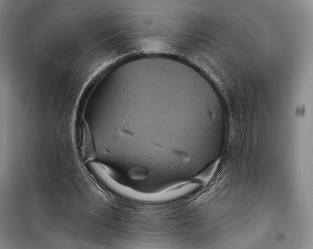 X0000098210391200805151258