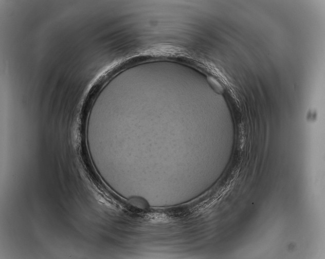 X0000098210392200805151258