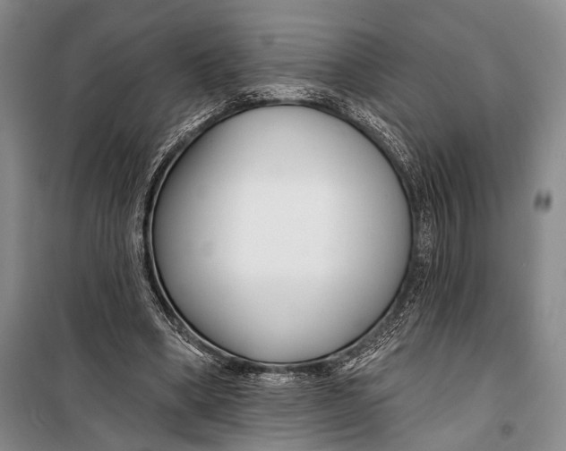 X0000098210394200805151258
