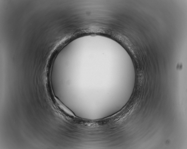 X0000098210395200805151258