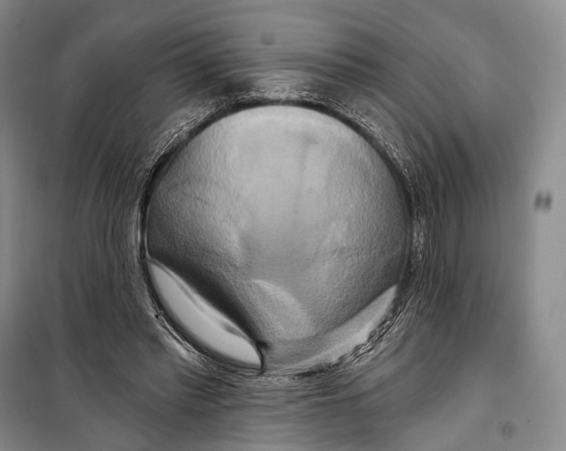 X0000098210397200805151258