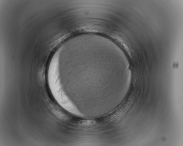 X0000098210398200805151258