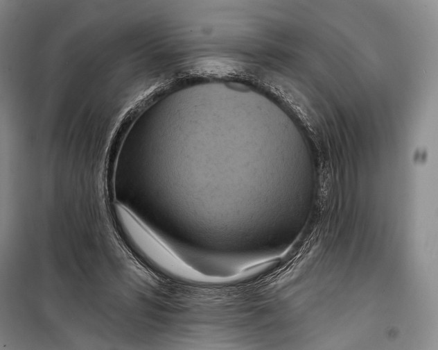 X0000098210399200805151258