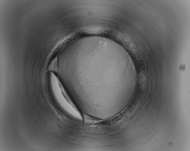 X0000098210400200805151258