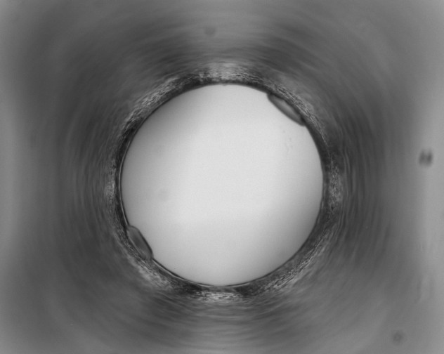 X0000098210401200805151258