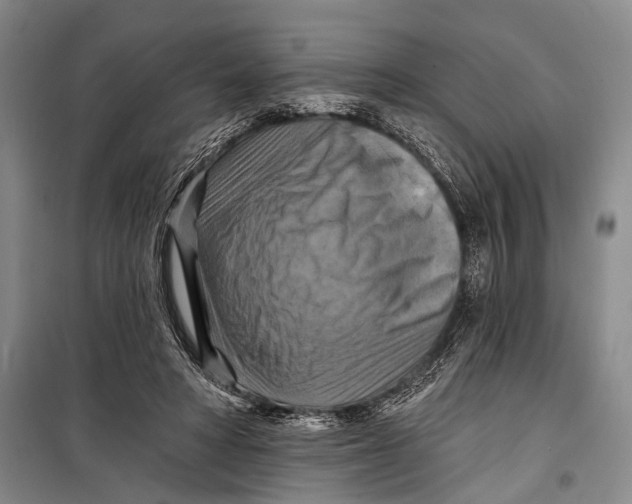 X0000098210402200805151258