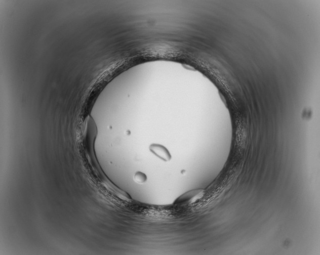 X0000098210403200805151258