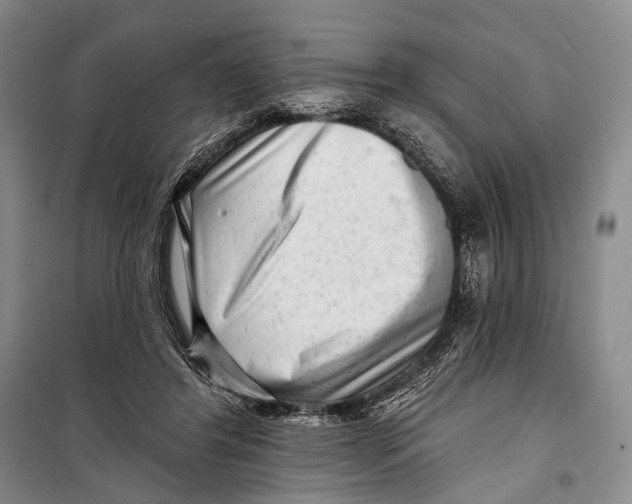 X0000098210404200805151258