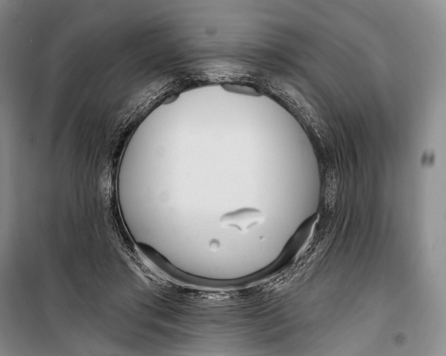 X0000098210405200805151258