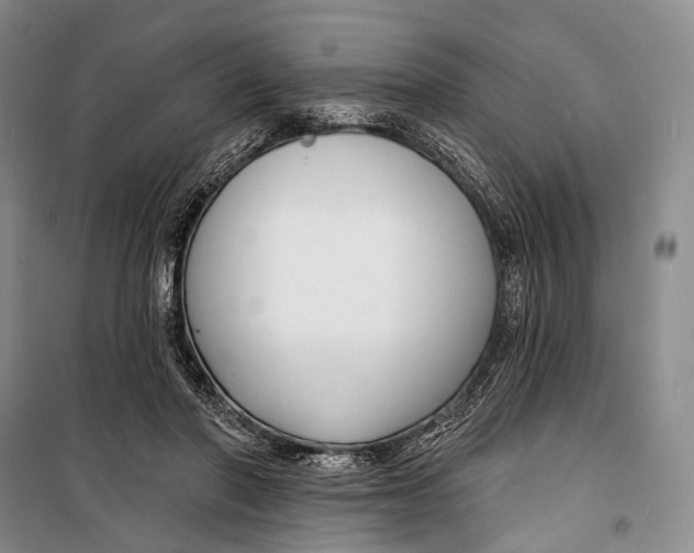 X0000098210406200805151258