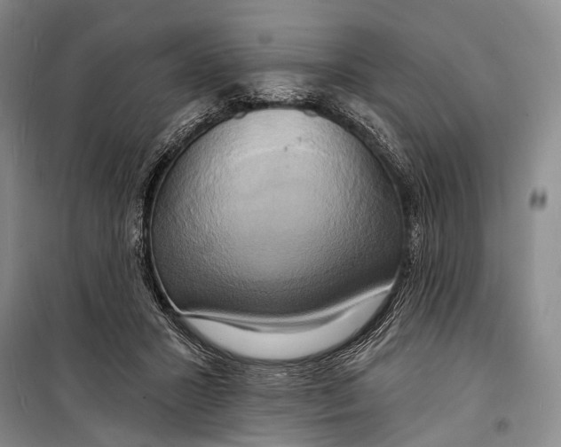 X0000098210407200805151258