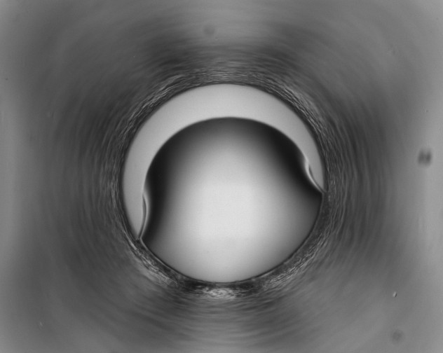 X0000098210409200805151258