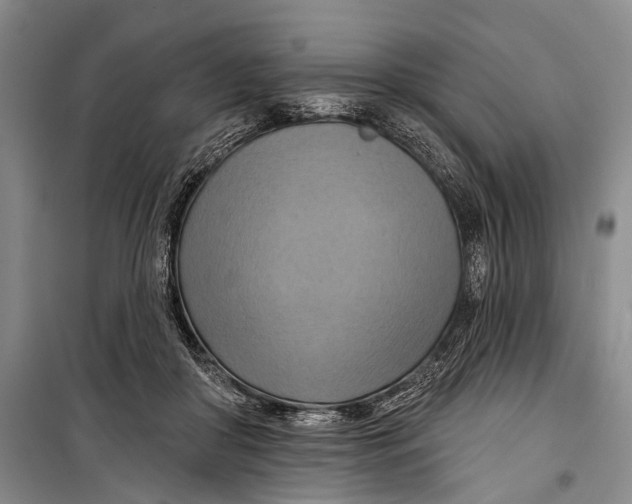 X0000098210410200805151258