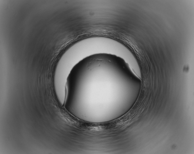 X0000098210411200805151258