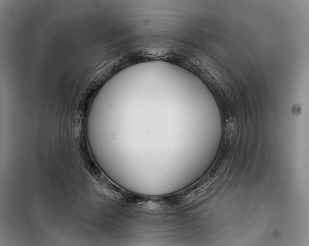 X0000098210412200805151258