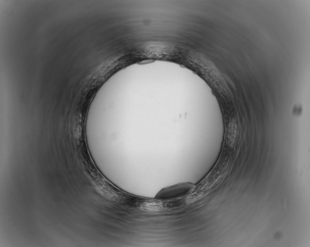 X0000098210413200805151258
