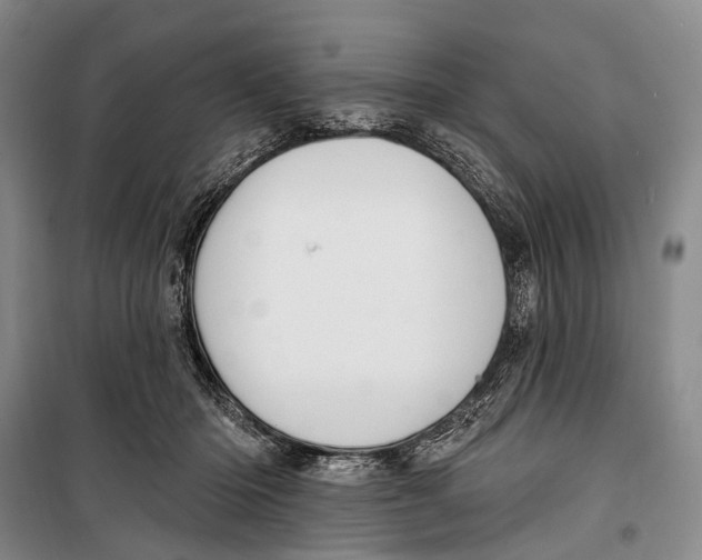 X0000098210414200805151258