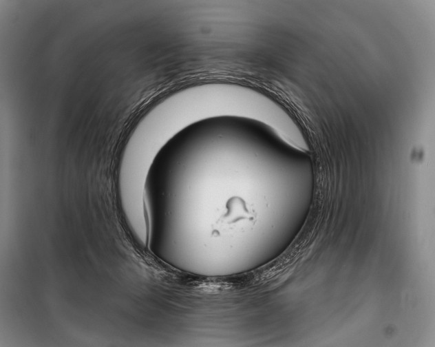 X0000098210415200805151258