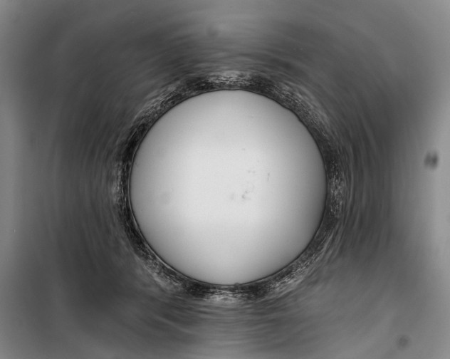 X0000098210416200805151258