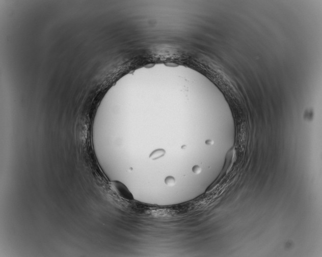 X0000098210417200805151258