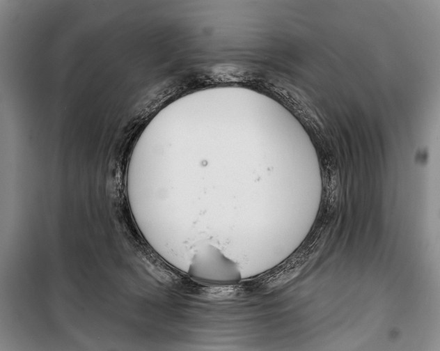 X0000098210418200805151258