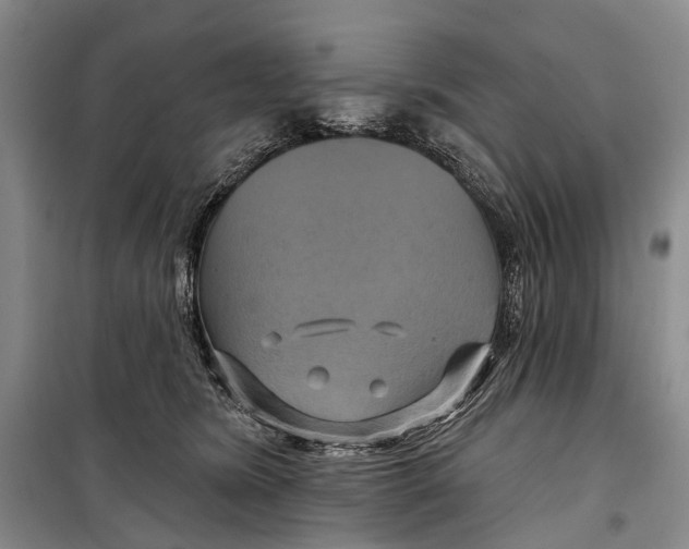 X0000098210420200805151258