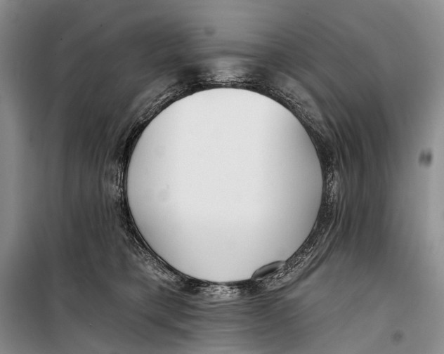 X0000098210421200805151258