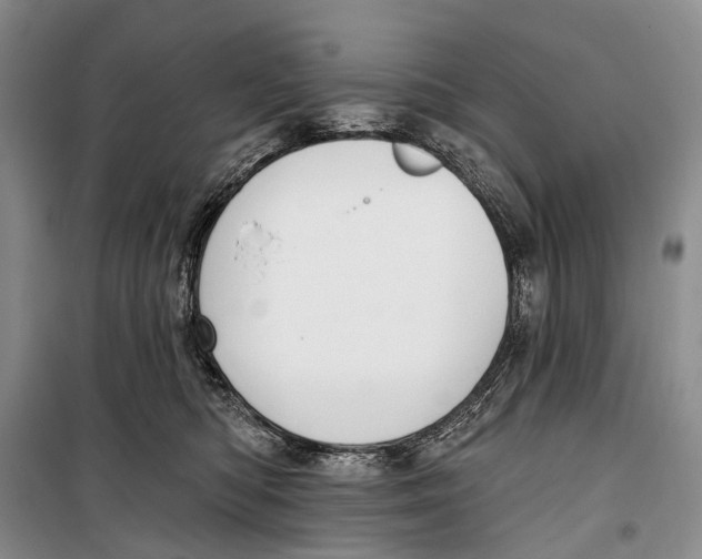 X0000098210422200805151258