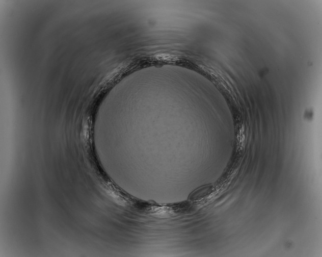 X0000098210424200805151258