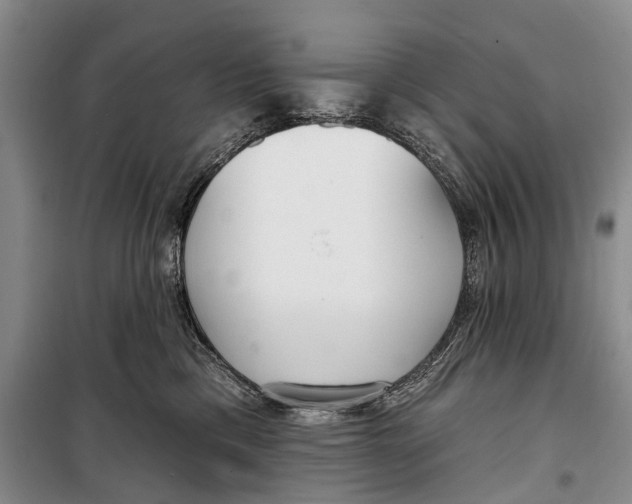 X0000098210425200805151258