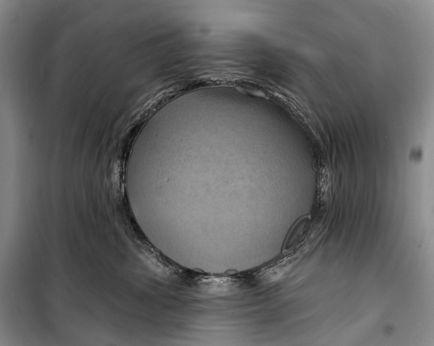 X0000098210428200805151258