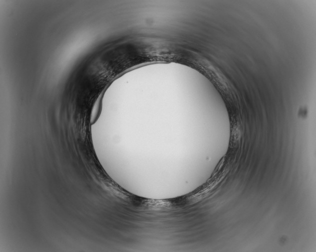 X0000098210429200805151258