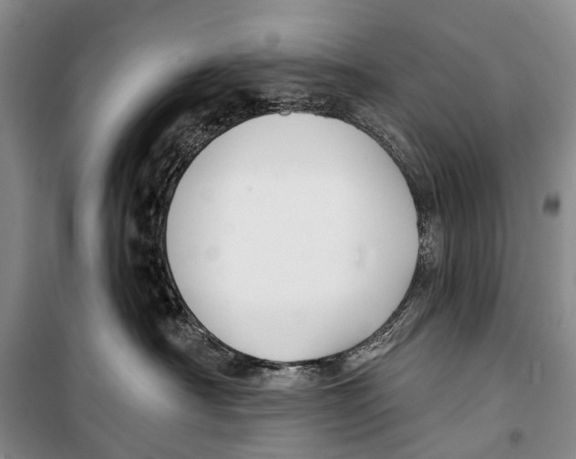 X0000098210430200805151258