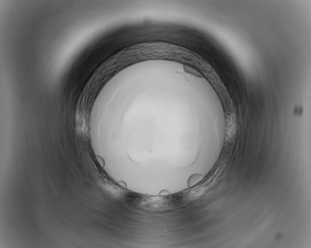 X0000098210431200805151258