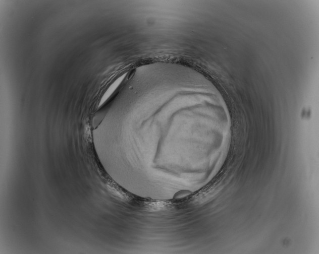 X0000098210432200805151258