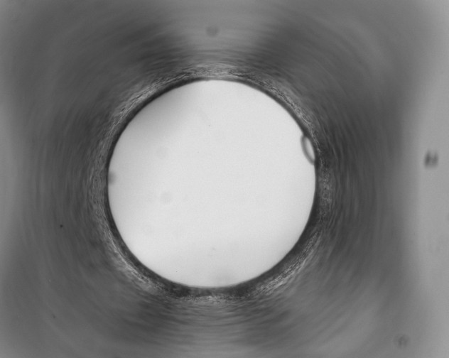 X0000098210433200805151257