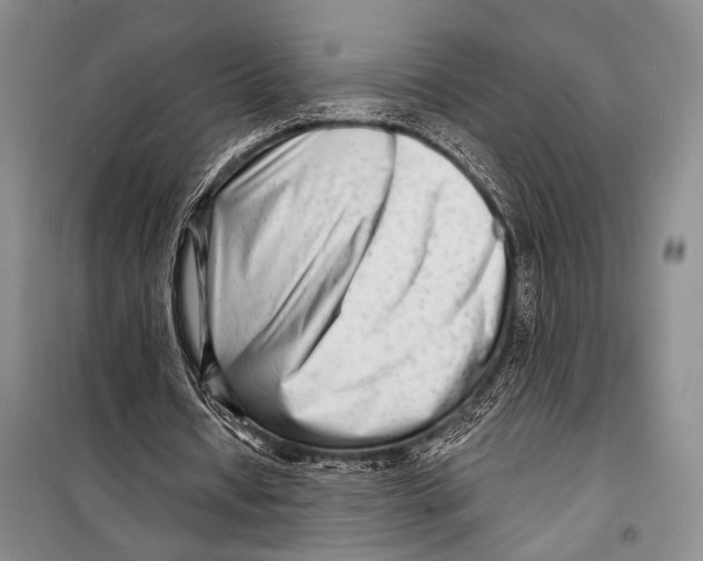 X0000098210434200805151257