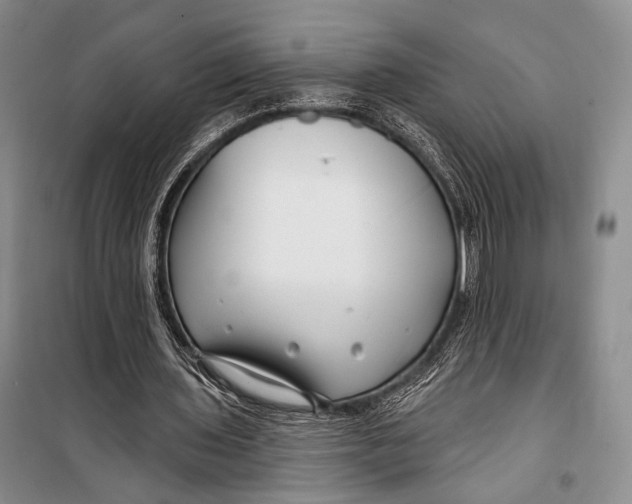 X0000098210435200805151257