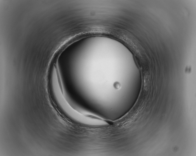 X0000098210436200805151257