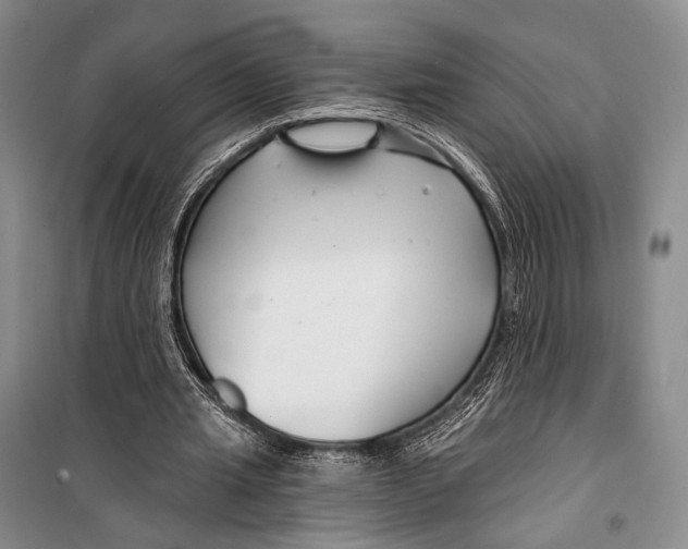 X0000098210437200805151257